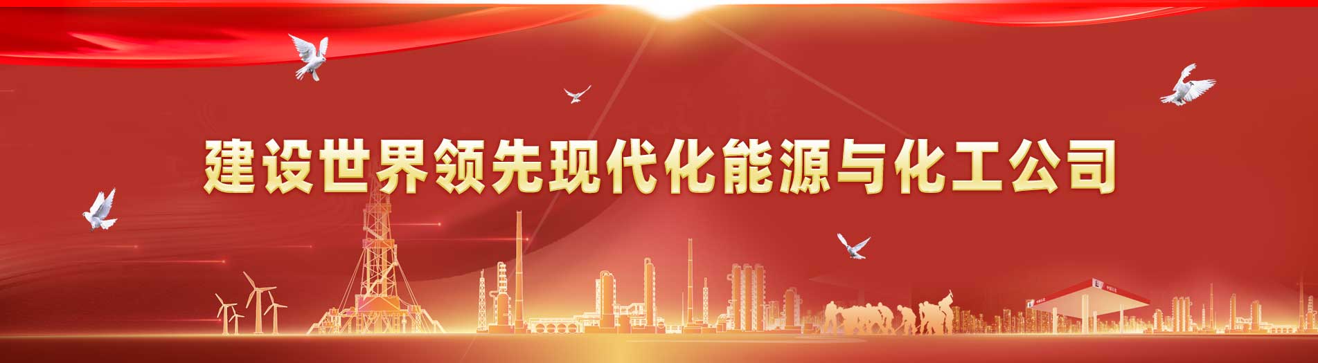 建设世界领先现代化能源化工公司